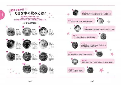 猫の腎臓病がわかる本 | 女子栄養大学出版部